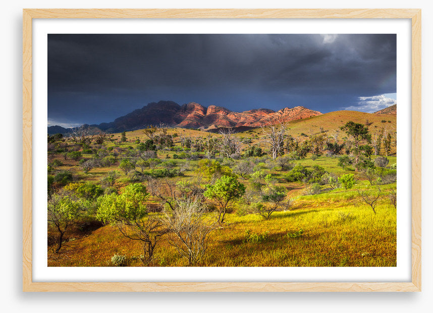 Stormy sunlight