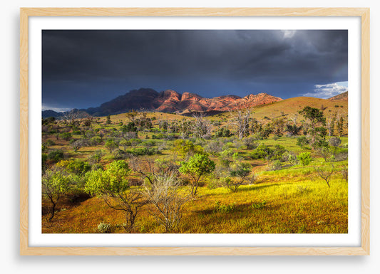 Stormy sunlight