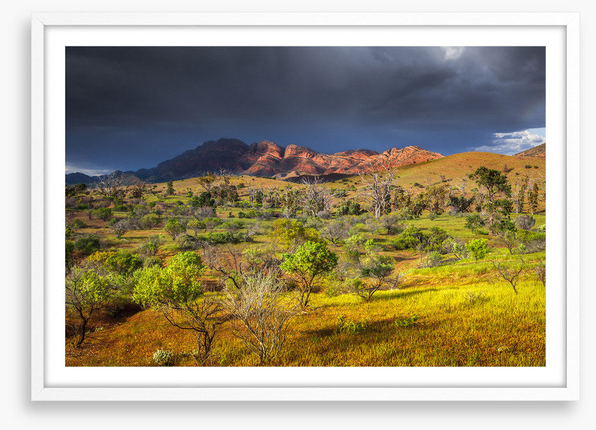 Stormy sunlight
