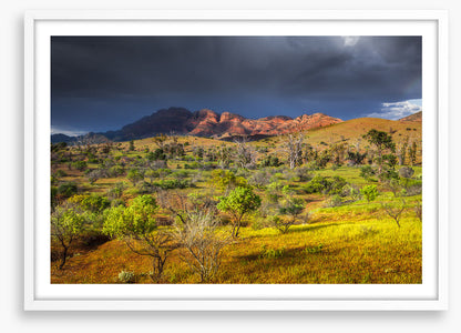 Stormy sunlight