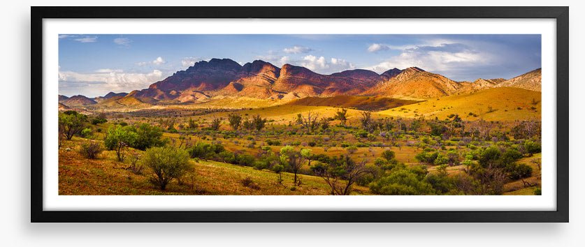 Flinders beauty panorama