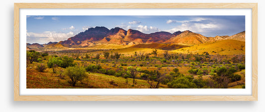 Flinders beauty panorama