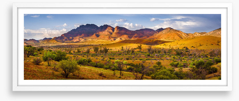 Flinders beauty panorama
