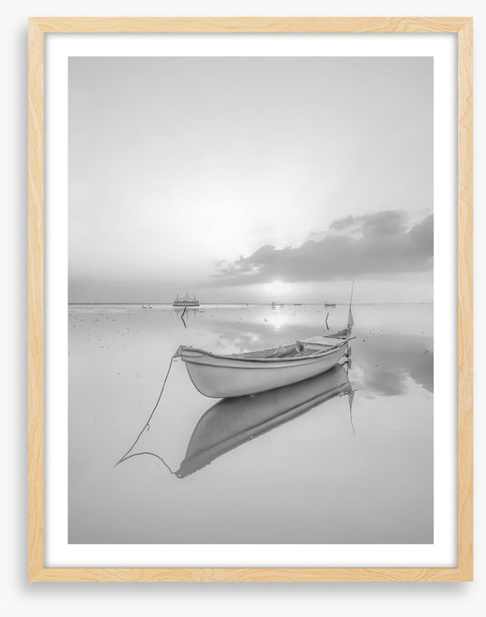 Mirror in mono