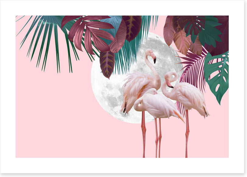 Full moon flamingos