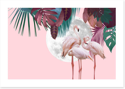 Full moon flamingos