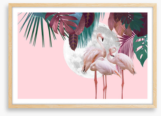 Full moon flamingos
