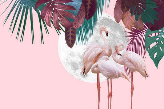 Full moon flamingos