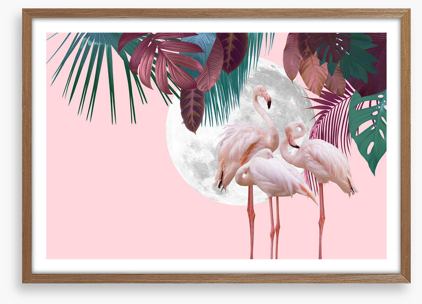 Full moon flamingos