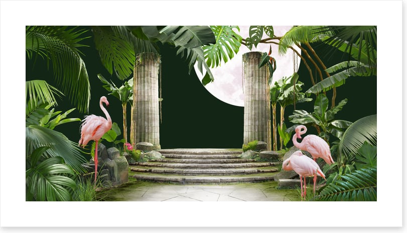 Flamingo moon