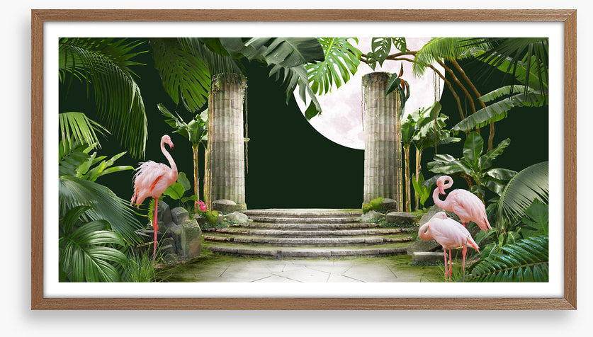 Flamingo moon
