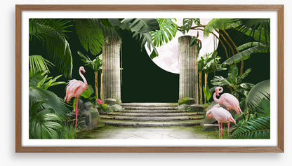Flamingo moon