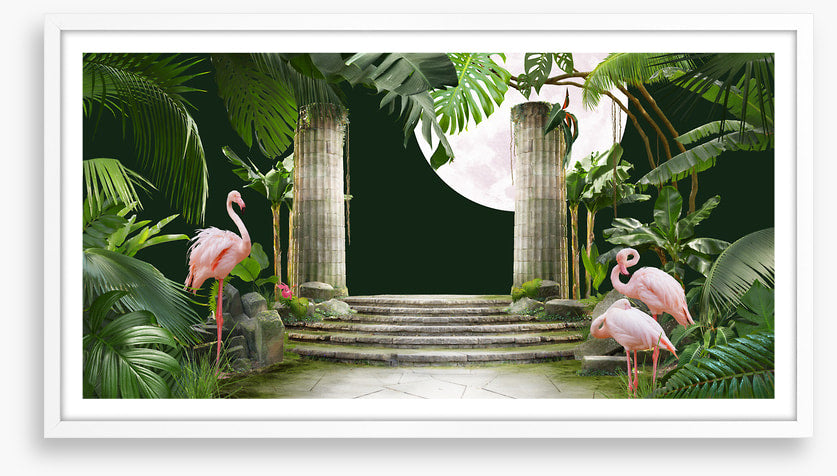 Flamingo moon