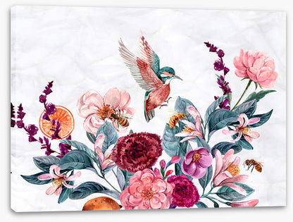 Bees and bird