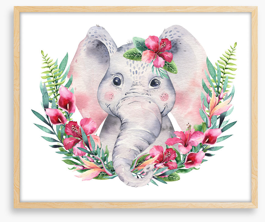 Elephants