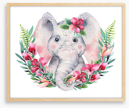 Elephants