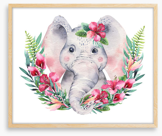 Elephants