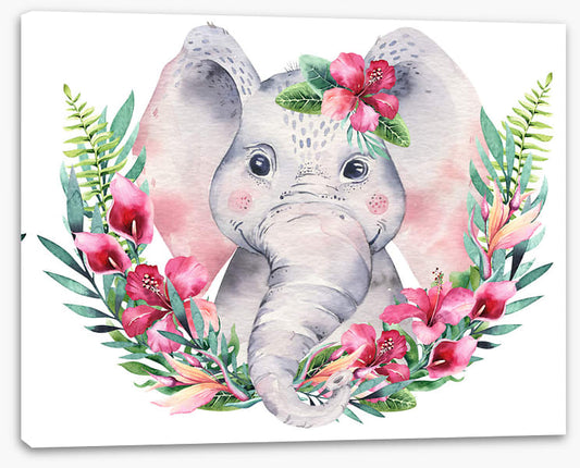 Elephants