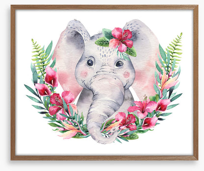 Elephants