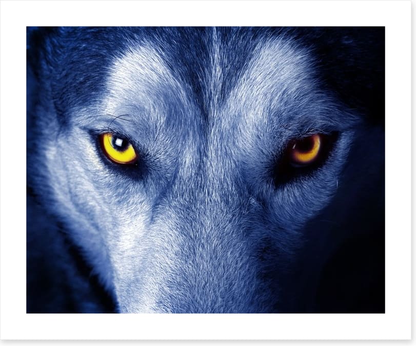 Wild wild wolf