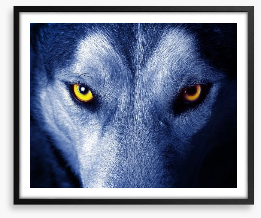 Wild wild wolf