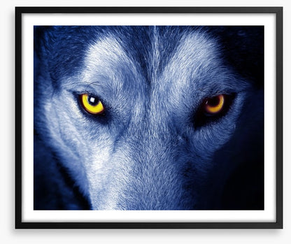 Wild wild wolf