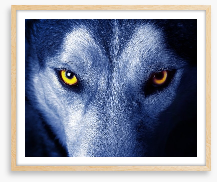 Wild wild wolf