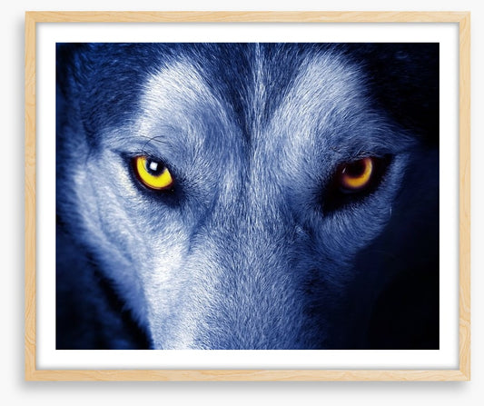 Wild wild wolf