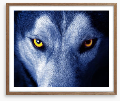 Wild wild wolf