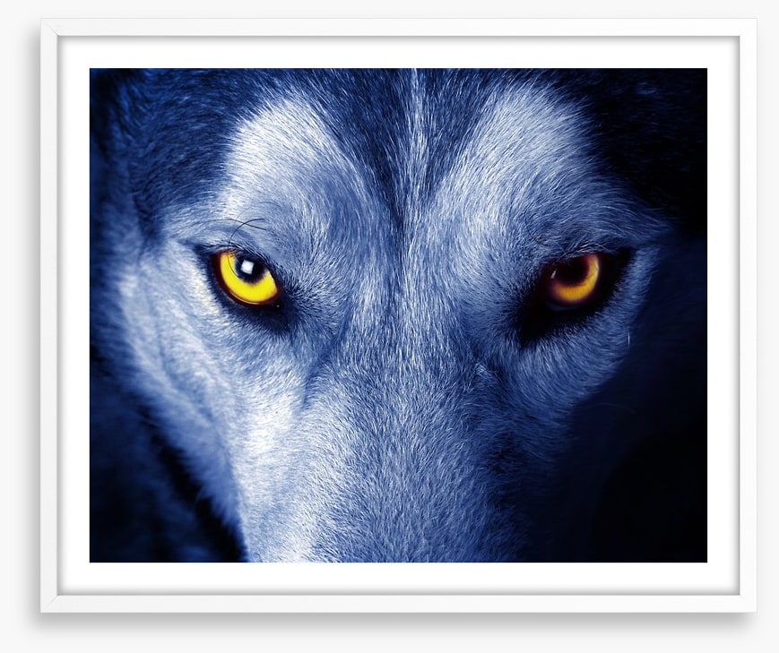 Wild wild wolf