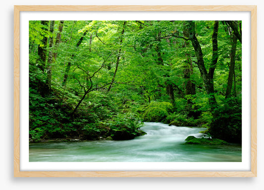 Fast forest flows