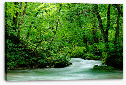 Fast forest flows