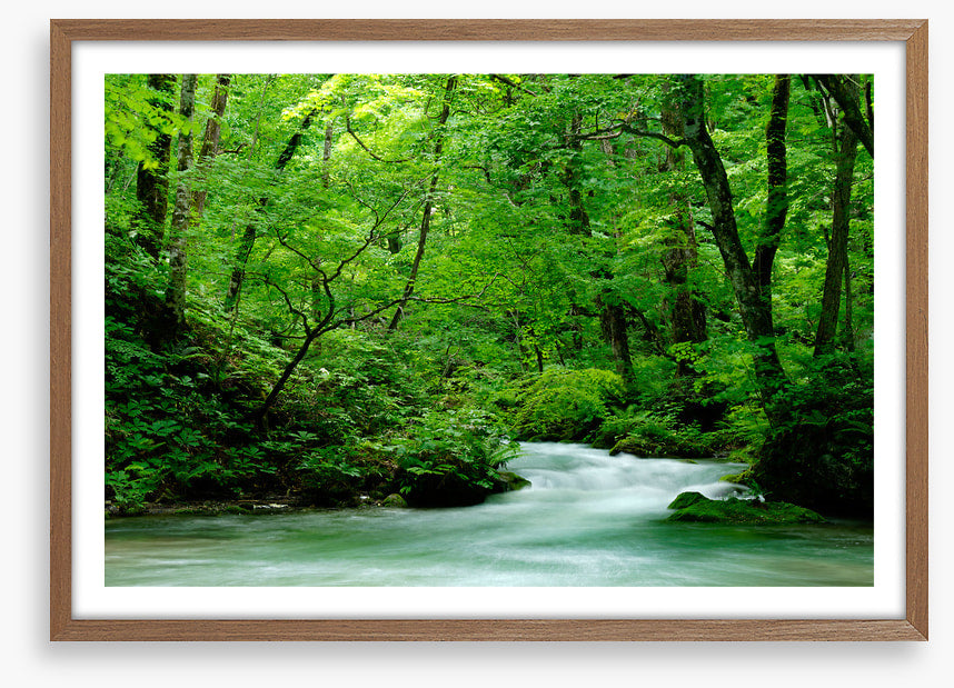 Fast forest flows