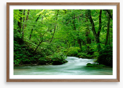 Fast forest flows