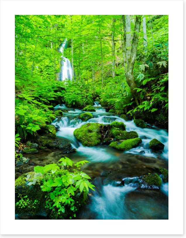 Waterfalls