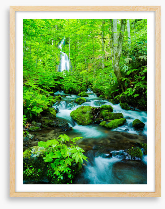 Waterfalls