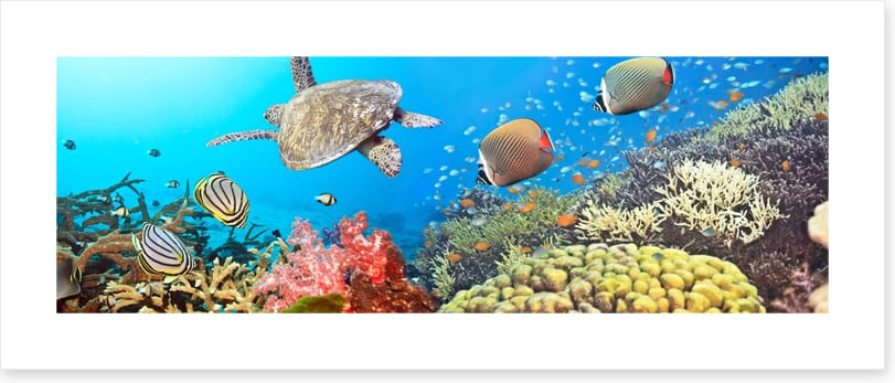 Underwater world