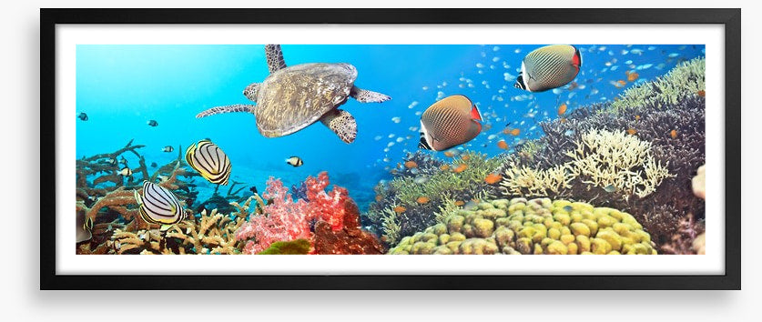 Underwater world