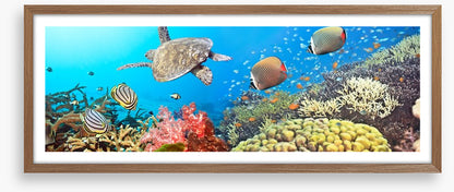 Underwater world