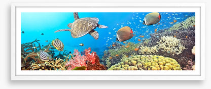 Underwater world