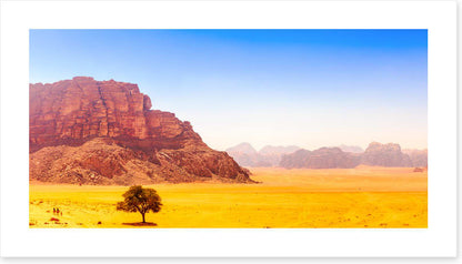 Desert