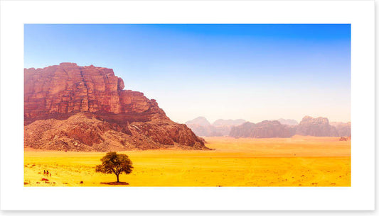 Desert