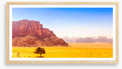 Desert