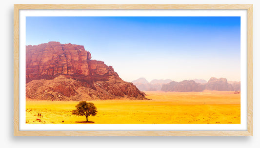 Desert