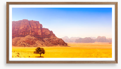Desert