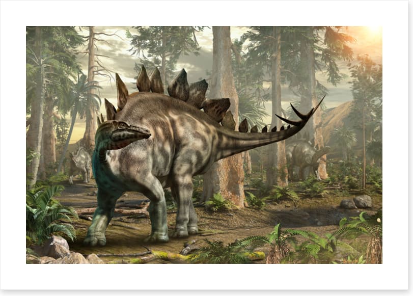 Stegosaurus scout