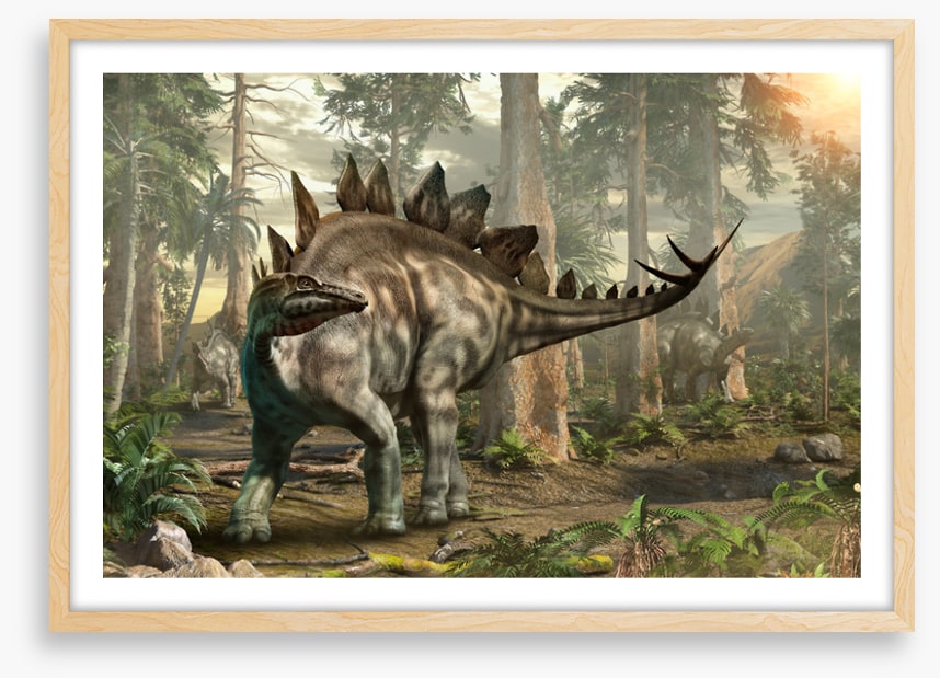 Stegosaurus scout