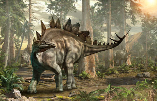 Stegosaurus scout