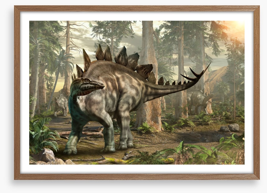 Stegosaurus scout