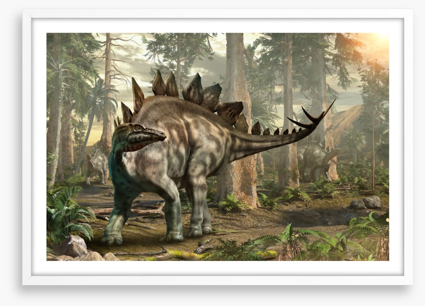 Stegosaurus scout